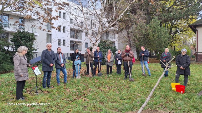 Emlékfa ültetése (2025.11.17)